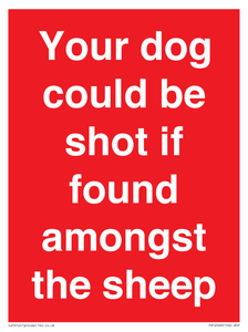 Your dog could be shot if found amongst the sheep